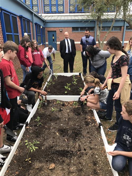 School Garden School Garden