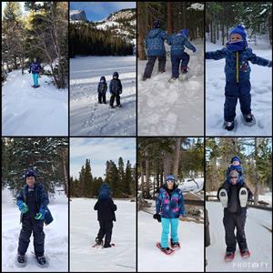 snowshoe