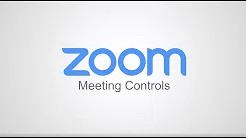  Meeting Controls